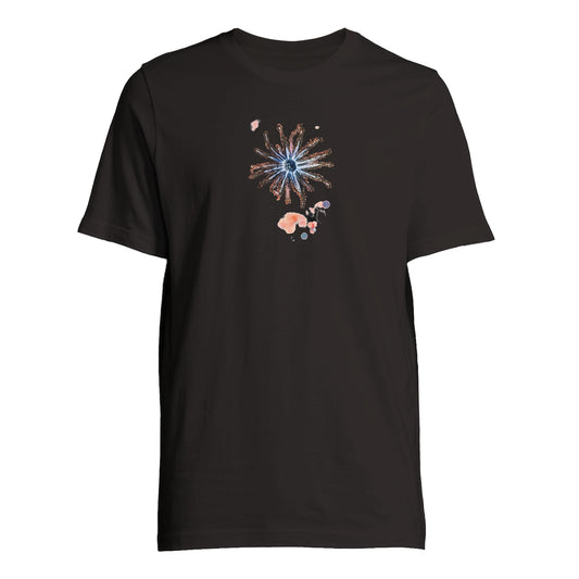 5cc78c33-ff08-4141-8cd0-f8614e6af35a